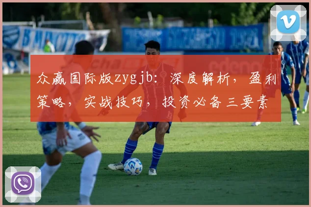 众赢国际版zygjb：深度解析，盈利策略，实战技巧，投资必备三要素，助你财富增值之路