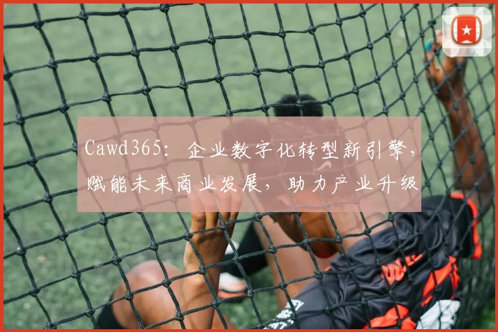 Cawd365：企业数字化转型新引擎，赋能未来商业发展，助力产业升级