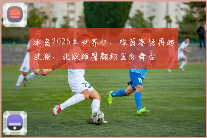 冰岛2026年世界杯，绿茵赛场再起波澜，北欧雄鹰翱翔国际舞台