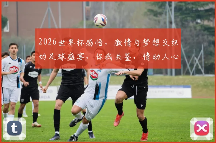 2026世界杯感悟，激情与梦想交织的足球盛宴，你我共鉴，情动人心
