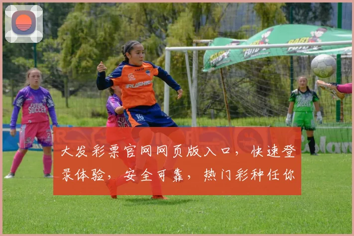 大发彩票官网网页版入口，快速登录体验，安全可靠，热门彩种任你选，立即加入