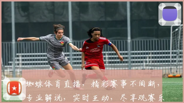蜘蛛体育直播，精彩赛事不间断，专业解说，实时互动，尽享观赛乐趣，三重福利等你来