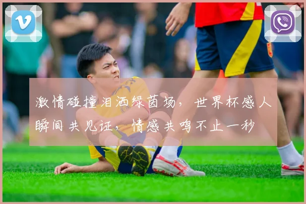 激情碰撞泪洒绿茵场，世界杯感人瞬间共见证，情感共鸣不止一秒