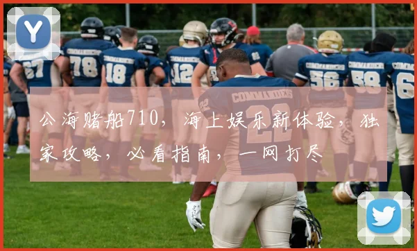 公海赌船710，海上娱乐新体验，独家攻略，必看指南，一网打尽
